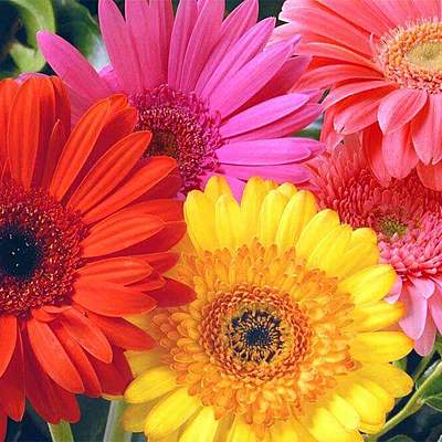 Timeline: Minha vida