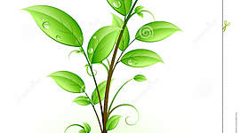 Timeline: Vida minha.