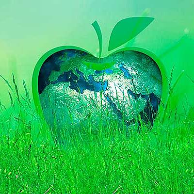 Timeline: Desarrolo Sustentable