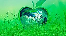 Timeline: Desarrolo Sustentable