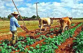 Decreto 77 de 1987 “Por el cual se expide el estatuto de descentralización en beneficio de los municipios.”