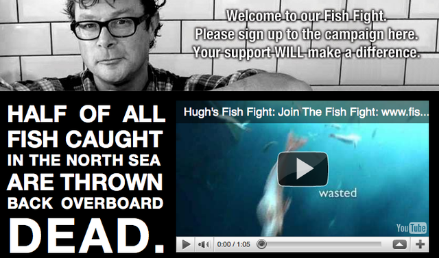 Fish Fight Website Launched