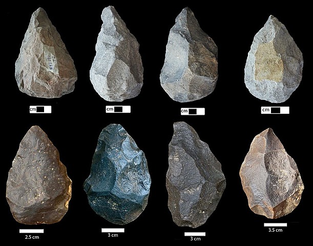 First Evidence of Stone Tools