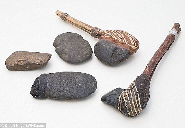 Use of stone tools