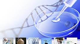 Timeline: BIOTECNOLOGIA