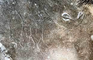 Rock paintings and maps date back to 30,000+ years.