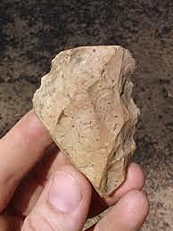 First use of stone tools
