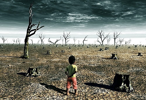 Daño al medio ambiente