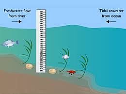 35000 years ago climate change was different