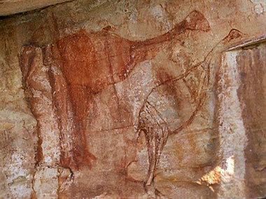 Genyornis' were Extinct 40,000 years ago