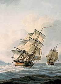 Captain Cook's Discovery