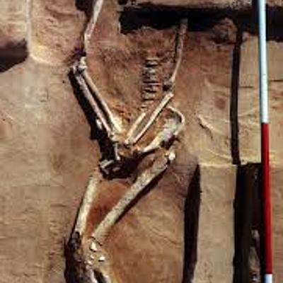 Timeline: A true history of Australia