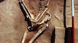 Timeline: A true history of Australia