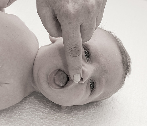 Búsqueda u hociqueo (0-4 meses)