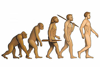 Evolució de l'home