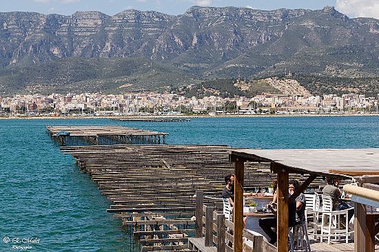 Oyster farm visit and snack