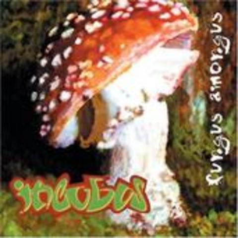Release of their album caleed "Fungus Amongus"