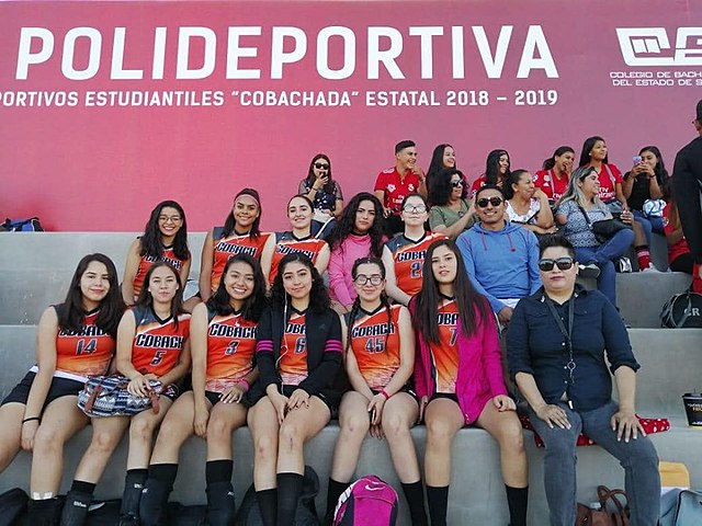 Cobachadas San Luis R.C. Y Hermosillo