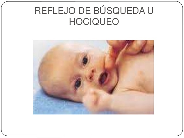Reflejo de hociqueo  0-4 meses.