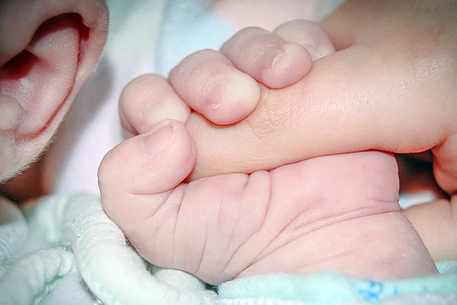 Reflejo Darwineano o prensor 0-4 meses.