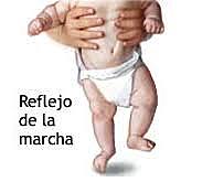 Reflejo de marcha 1-2 meses, reaparece en el 8vo mes.