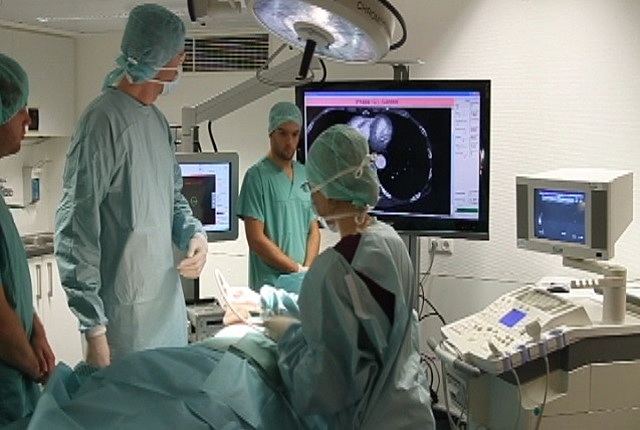 Electronic Information.