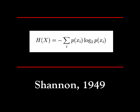 Elwood, formula la Teoría de la Información
