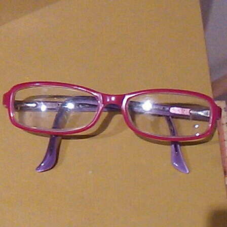 Em van posar ulleres