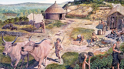 neolithic period