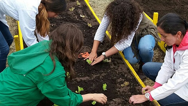 Un gran aporte a la comunidad