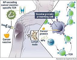 Cancer Vaccine