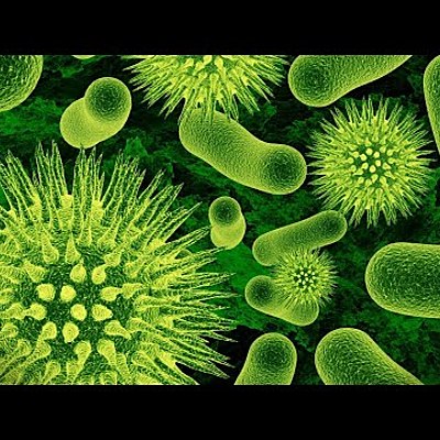 Timeline: HISTORIA DE LA MICROBIOLOGÍA