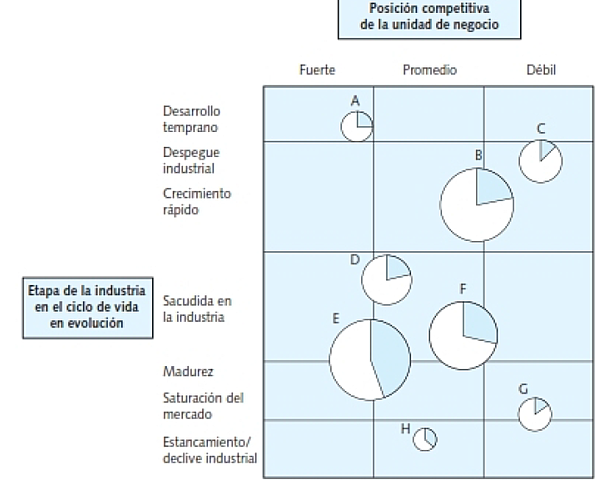 matriz del ciclo de vida empresarial