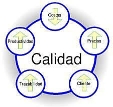 SIGNIFICADO DE LA CALIDAD