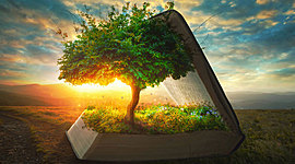 Timeline: Mi historia  O.E.5