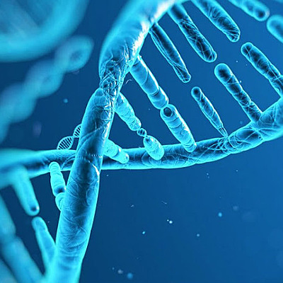 Timeline: Historia de la Biología