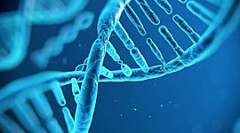 Timeline: Historia de la Biología