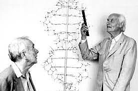 Y se descrubrió el ADN