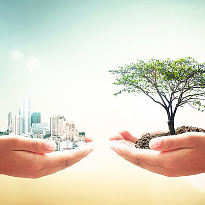 Timeline: Desarrollo sustentable