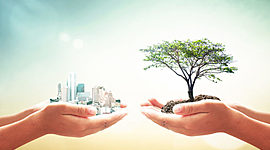 Timeline: Desarrollo sustentable