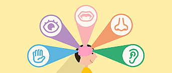 Teoría fenomenológica de la personalidad - Rogers y Allport