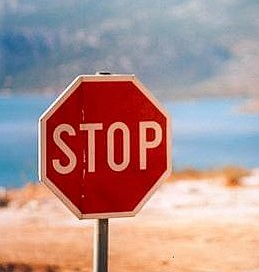 Publicación de "Los limites del crecimiento"