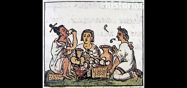 etapa domestica/prehistoria