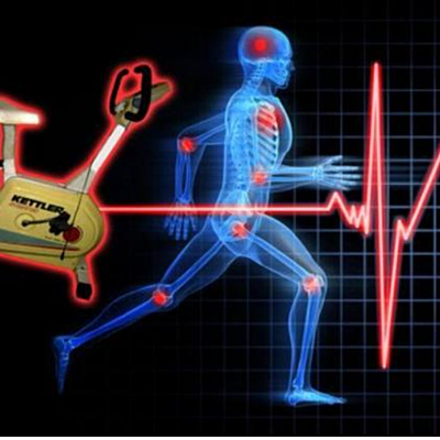 Timeline: How Your Body Reacts To Exercise.