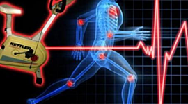 Timeline: How Your Body Reacts To Exercise.