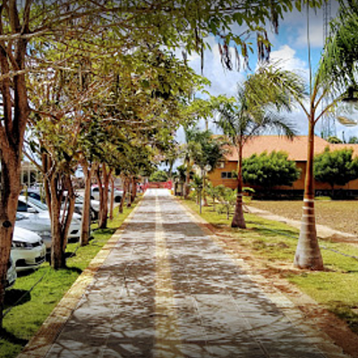 Timeline: Mi trayectoria en IFRN