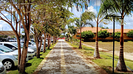 Timeline: Mi trayectoria en IFRN