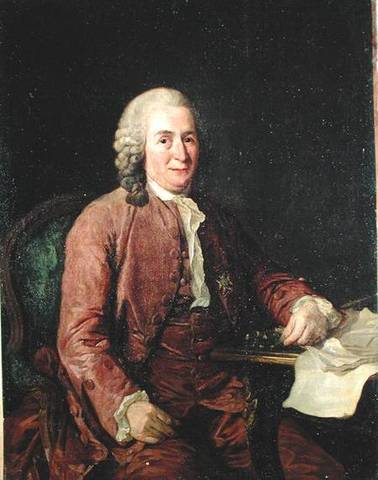 C VON LINNAEUS