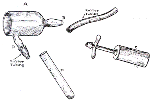 First Techniques of Collecting Infant Blood Discovered