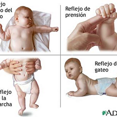 Timeline: Desarrollo del lenguaje y reflejos en niños de 0 a 3 años de edad